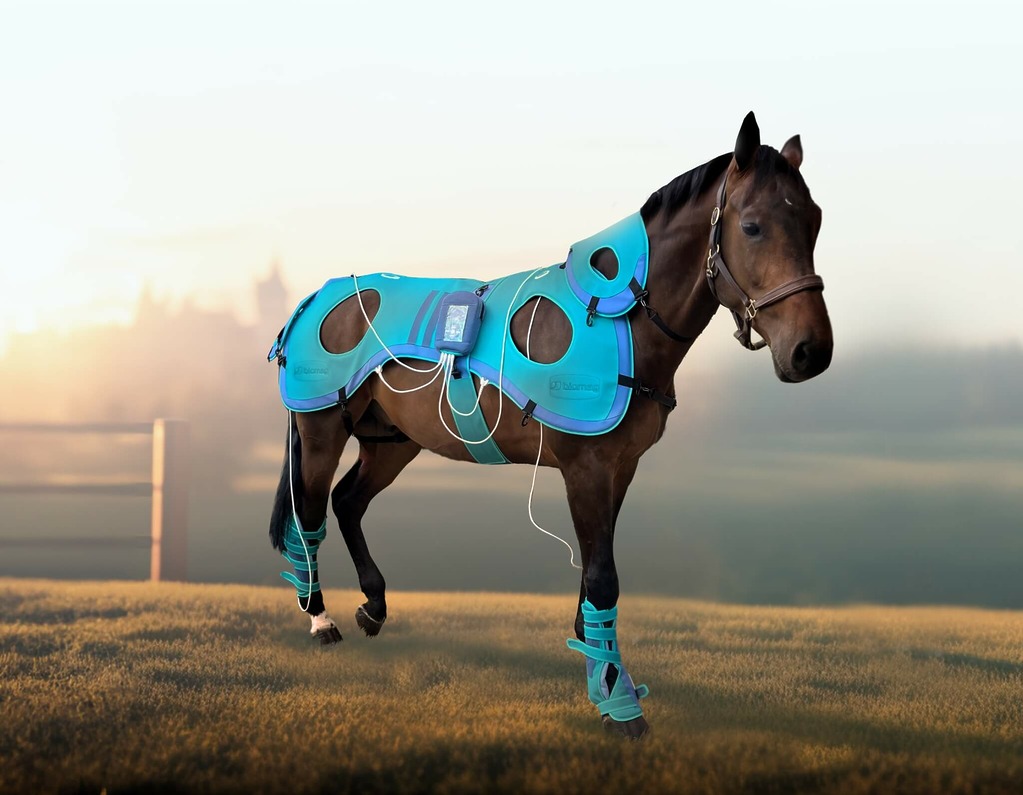 Veterinarska pulzna magnetna terapija Biomag